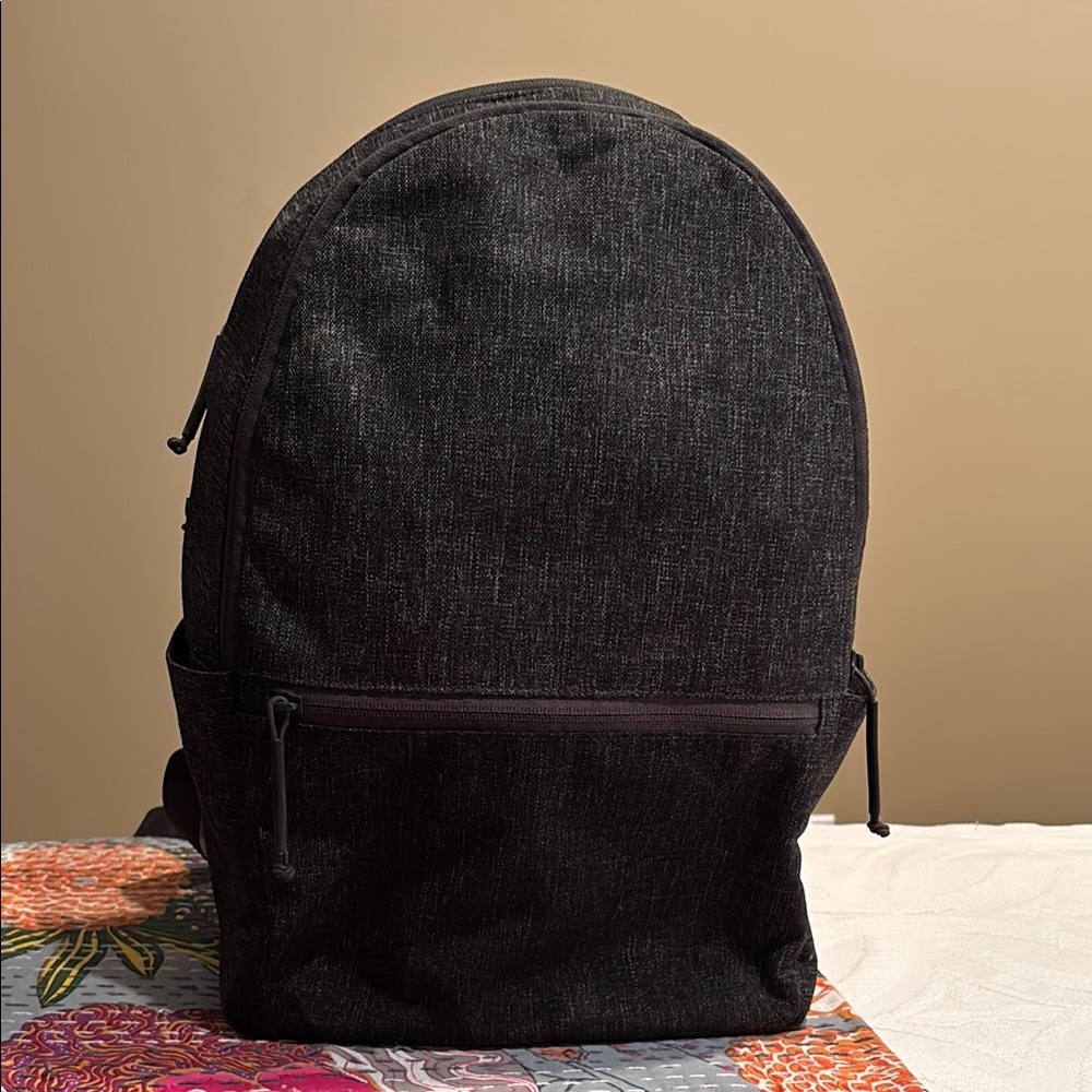 Everlane Street Nylon Zip Large Backpack in Dark Grey